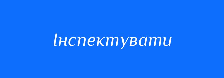 Синоніми до слова Інспектувати