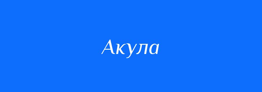 Синоніми до слова Акула