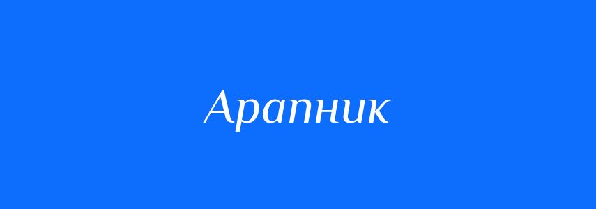 Синоніми до слова Арапник