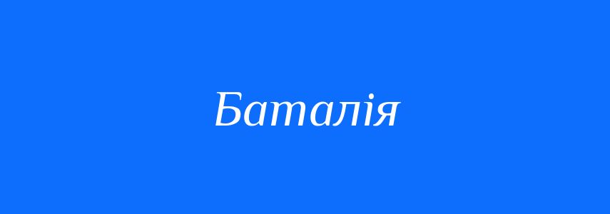 Синоніми до слова Баталія