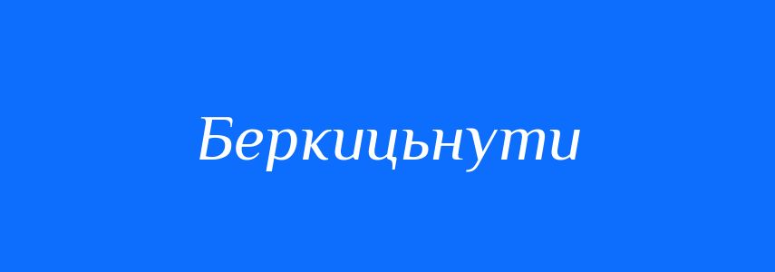 Синоніми до слова Беркицьнути