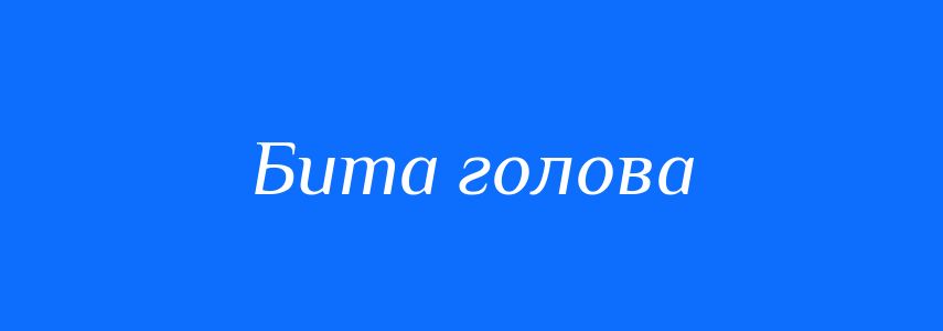 Синоніми до слова Бита голова