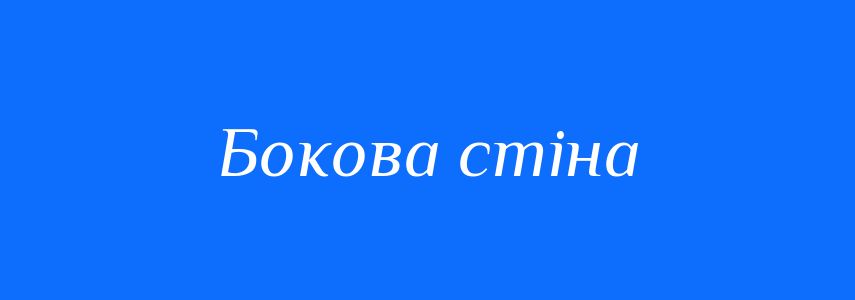Синоніми до слова Бокова стіна