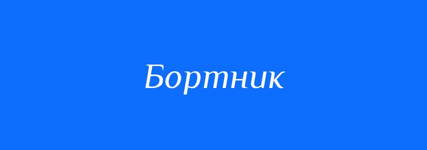 Синоніми до слова Бортник