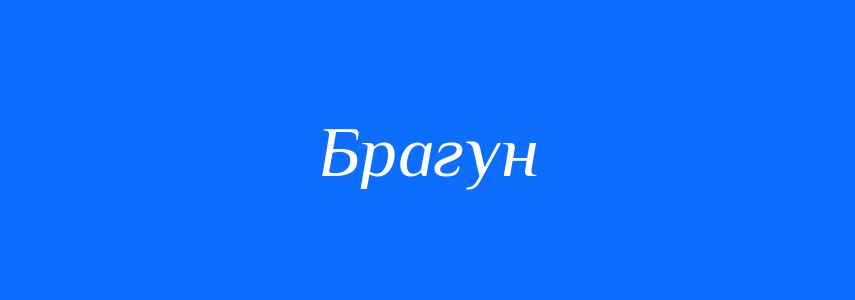 Синоніми до слова Брагун