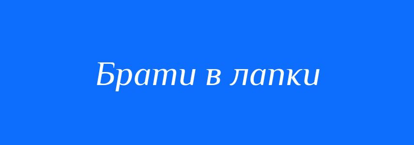 Синоніми до слова Брати в лапки