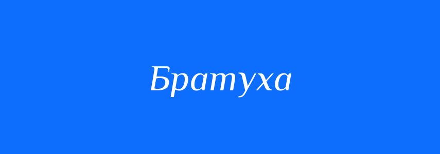 Синоніми до слова Братуха