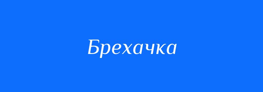 Синоніми до слова Брехачка