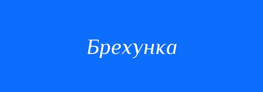 Синоніми до слова Брехунка