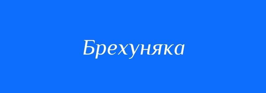 Синоніми до слова Брехуняка