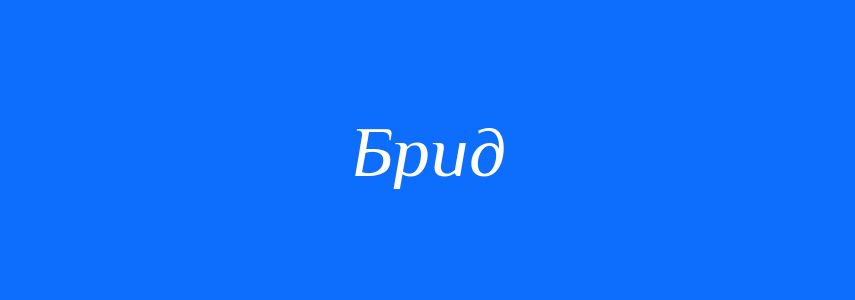 Синоніми до слова Брид