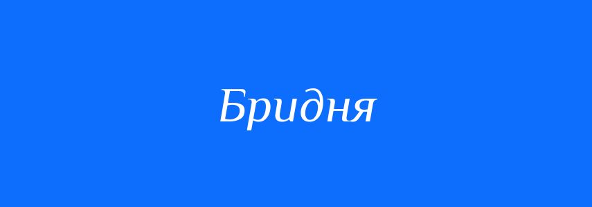 Синоніми до слова Бридня
