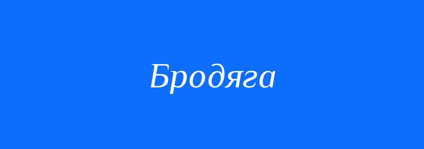Синоніми до слова Бродяга