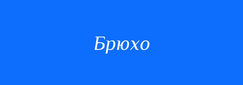 Синоніми до слова Брюхо
