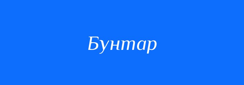 Синоніми до слова Бунтар