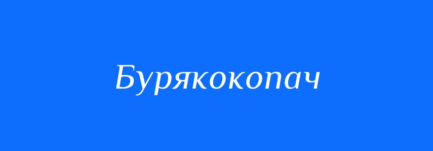 Синоніми до слова Бурякокопач