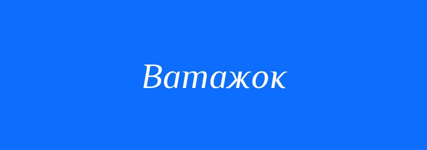 Синоніми до слова Ватажок