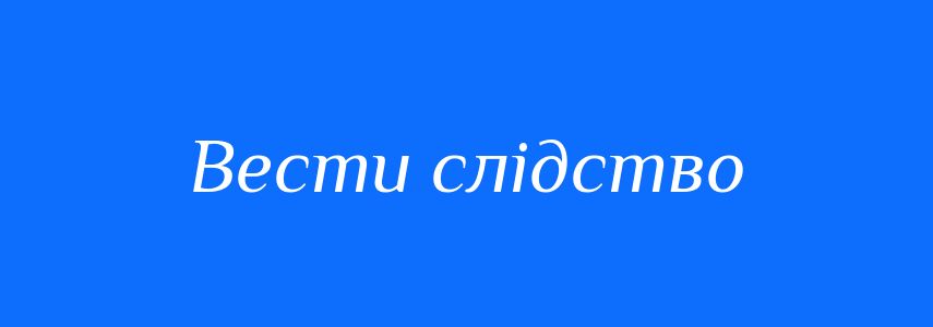 Синоніми до слова Вести слідство