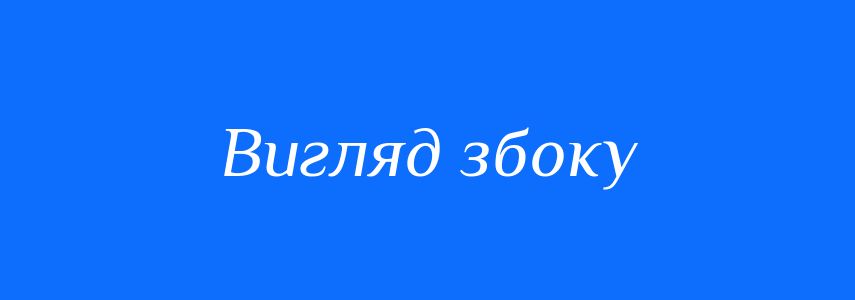 Синоніми до слова Вигляд збоку