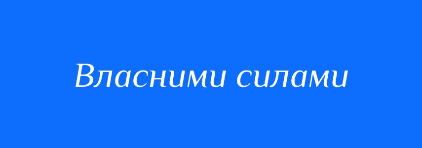 Синоніми до слова Власними силами