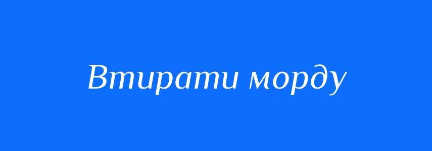 Синоніми до слова Втирати морду