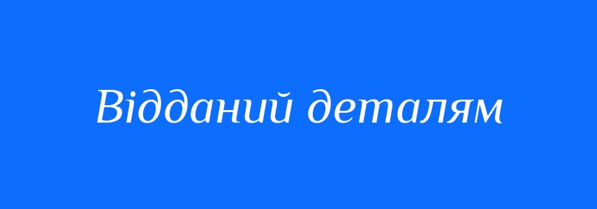 Синоніми до слова Відданий деталям