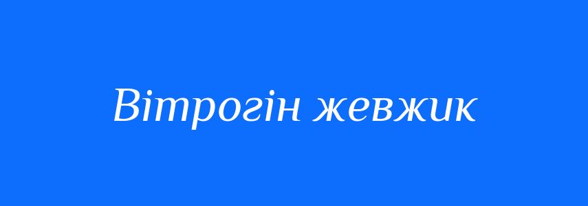 Синоніми до слова Вітрогін жевжик