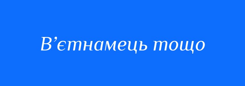 Синоніми до слова В’єтнамець тощо