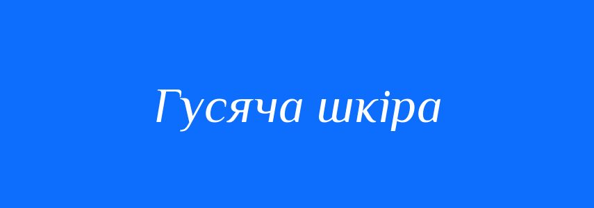 Синоніми до слова Гусяча шкіра