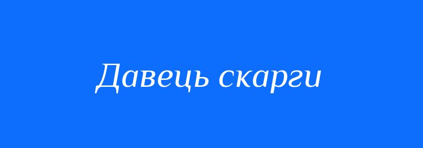 Синоніми до слова Давець скарги