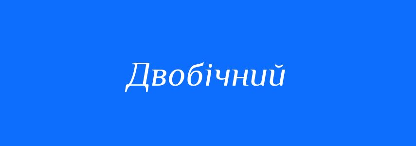 Синоніми до слова Двобічний