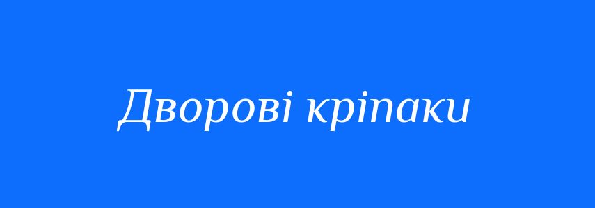 Синоніми до слова Дворові кріпаки