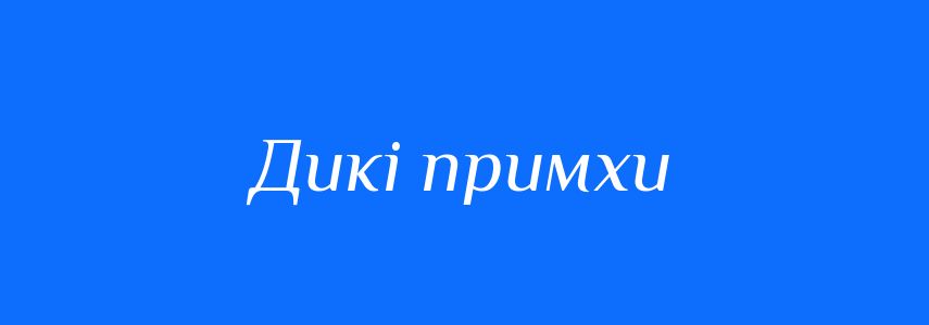 Синоніми до слова Дикі примхи