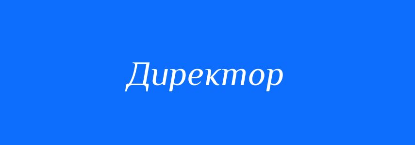 Синоніми до слова Директор