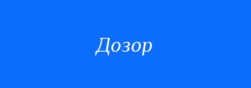 Синоніми до слова Дозор
