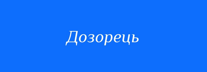 Синоніми до слова Дозорець
