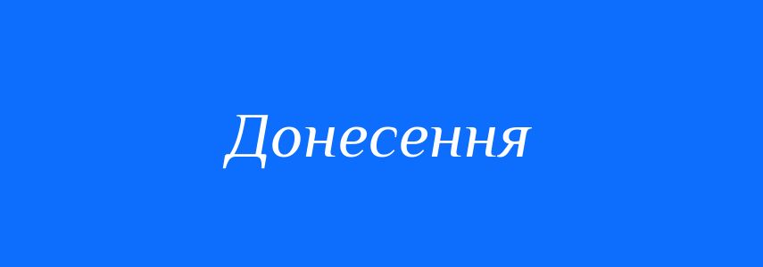 Синоніми до слова Донесення