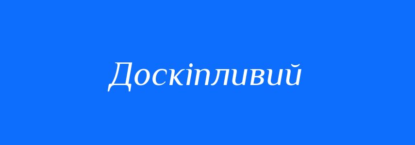 Синоніми до слова Доскіпливий