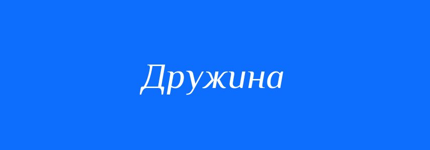 Синоніми до слова Дружина