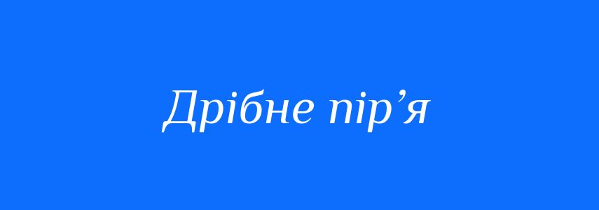 Синоніми до слова Дрібне пір’я