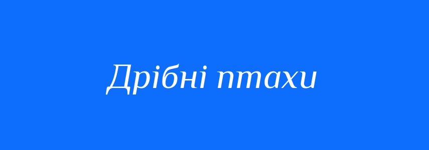 Синоніми до слова Дрібні птахи