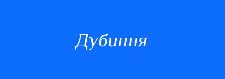Синоніми до слова Дубиння