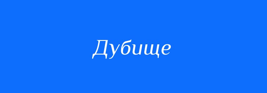 Синоніми до слова Дубище
