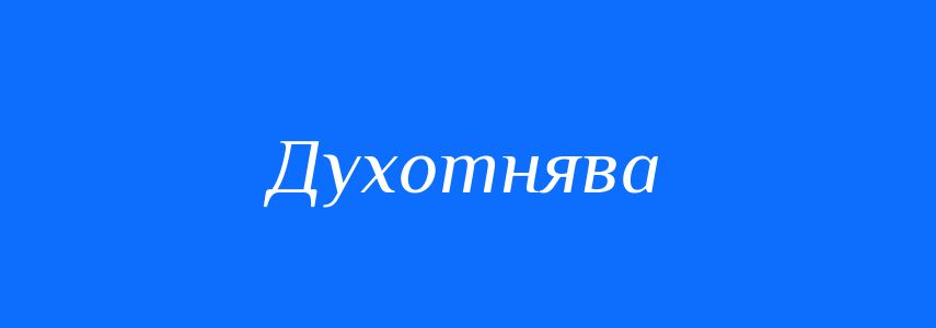 Синоніми до слова Духотнява