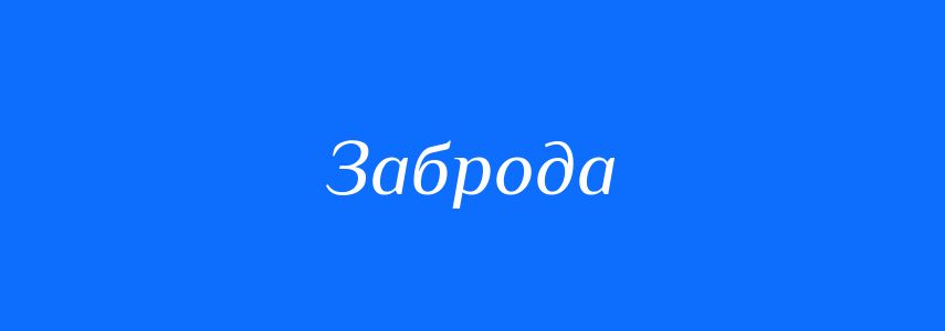 Синоніми до слова Заброда