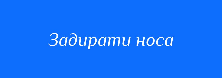 Синоніми до слова Задирати носа