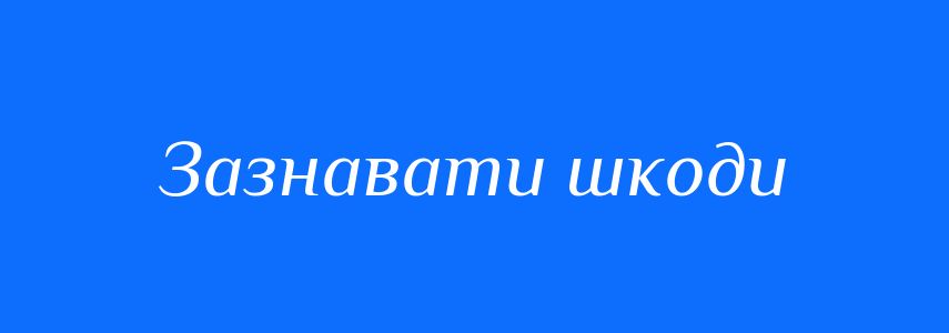 Синоніми до слова Зазнавати шкоди