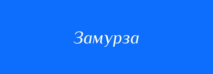 Синоніми до слова Замурза