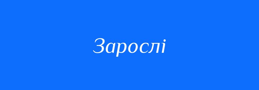Синоніми до слова Зарослі