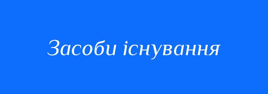 Синоніми до слова Засоби існування